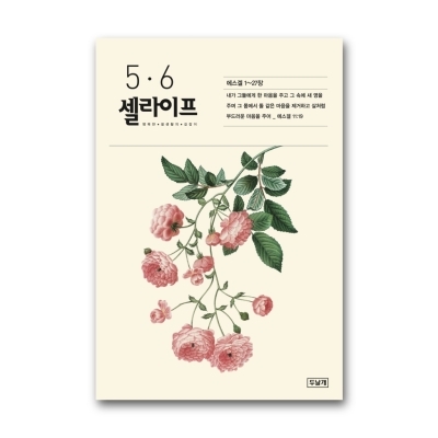 셀라이프 26년 5,6 (개정)